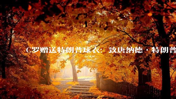 C罗赠送特朗普球衣：致唐纳德•特朗普总统，为和平而战。如何评价？