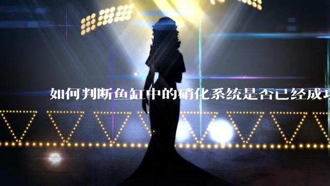 如何判断鱼缸中的硝化系统是否已经成功建立？