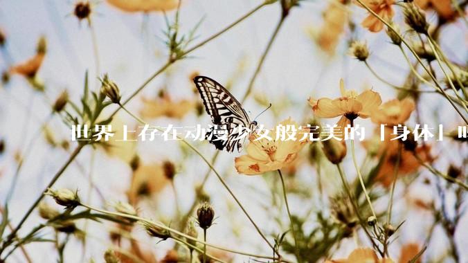 世界上存在动漫少女般完美的「身体」吗？