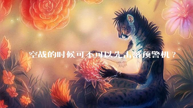 空战的时候可不可以先击落预警机?