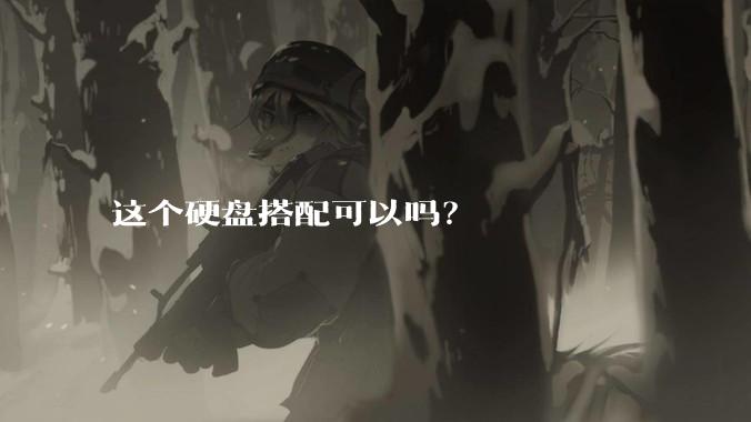 这个硬盘搭配可以吗？