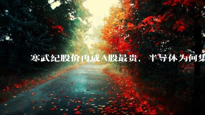 寒武纪股价再成A股最贵，半导体为何集体上涨？_公司_芯片_国产