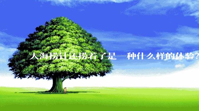 大海捞针还捞着了是一种什么样的体验？