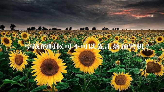 空战的时候可不可以先击落预警机?