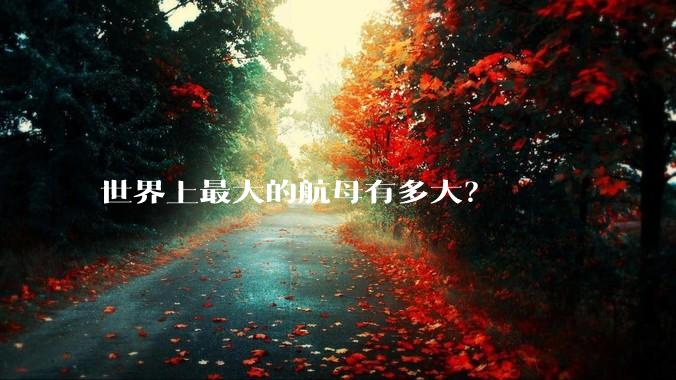 世界上最大的航母有多大？