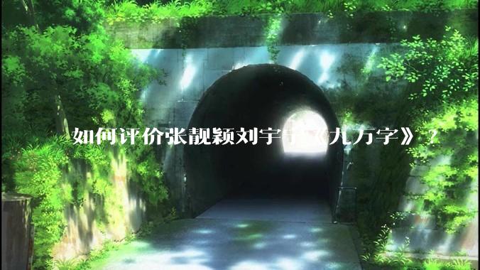 如何评价张靓颖刘宇宁《九万字》?