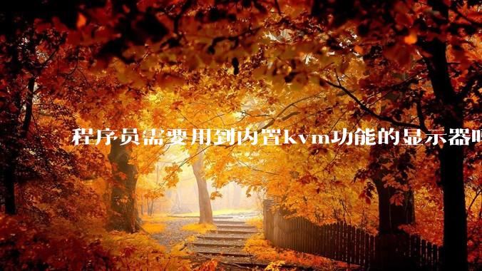 程序员需要用到内置kvm功能的显示器吗？或者是外置的kvm切换器吗？