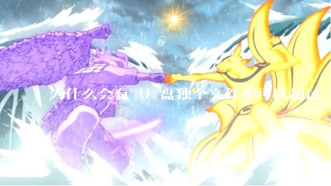 为什么会有 U 盘独个文件不可以超过 4GB 这种设定？
