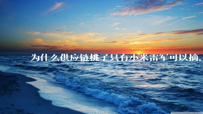 为什么供应链桃子只有小米雷军可以摘，其他人只能干瞪眼？