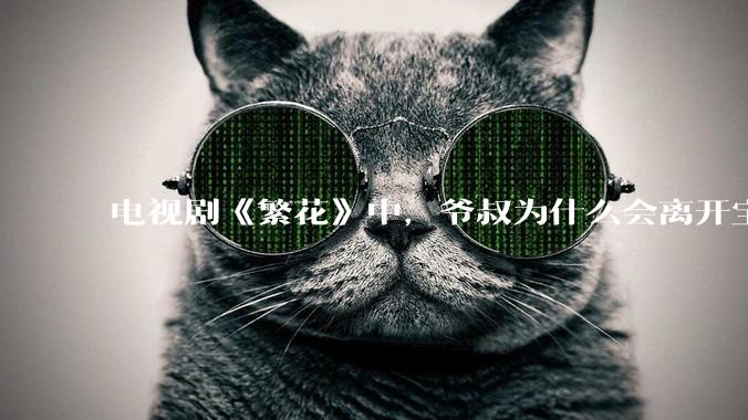 电视剧《繁花》中，爷叔为什么会离开宝总？