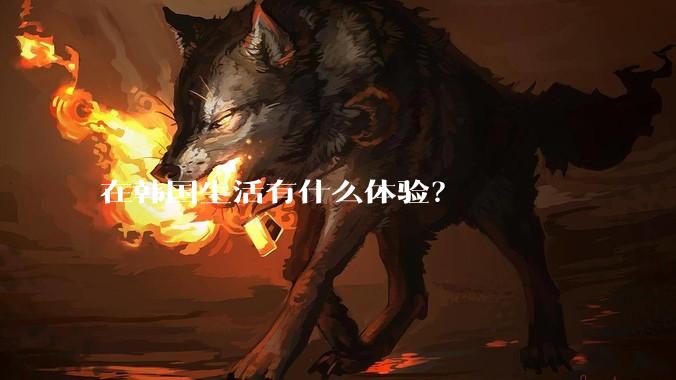 在韩国生活有什么体验？