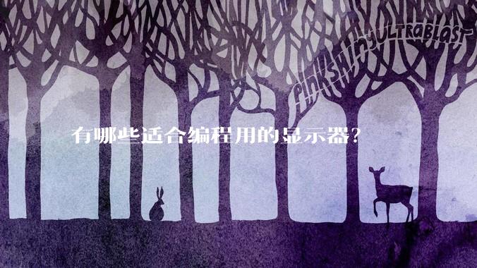 有哪些适合编程用的显示器？