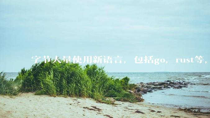 字节大量使用新语言，包括go，rust等，为什么阿里一直都抱着j***a不松手？