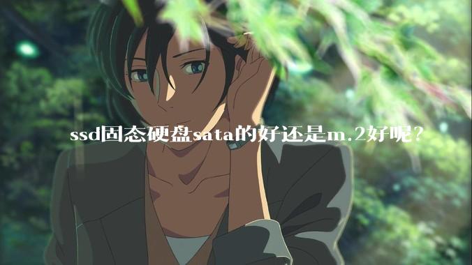 ssd固态硬盘sata的好还是m.2好呢？